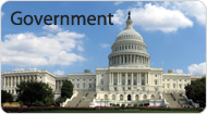 government